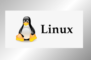 Why do Software Developers use Linux as their Operating System?