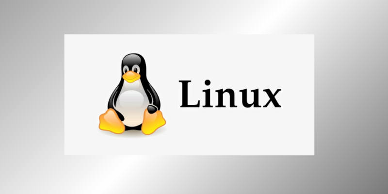 Why do Software Developers use Linux as their Operating System?