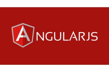 What are the Directives of Angular JS?